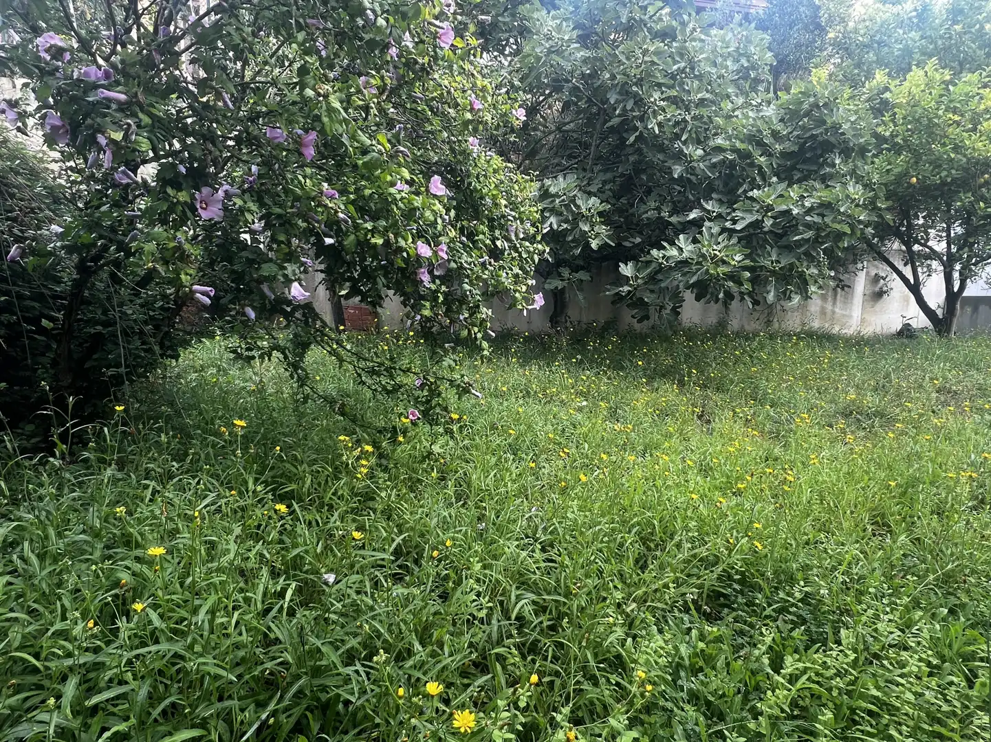 Maison mitoyenne avec piscine à vendre à Maoño - UR JUAN DE HERRERA, imagen 8
