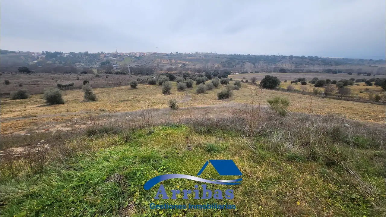 Country homes for sale in Escalona