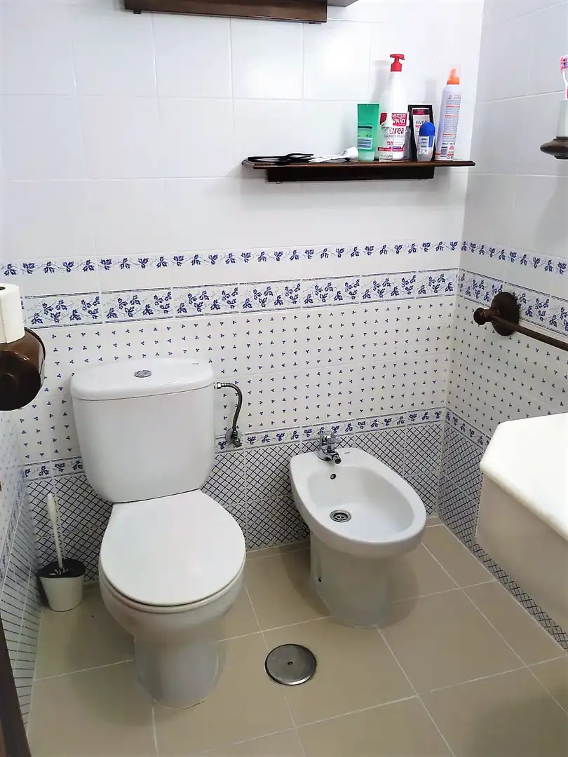 Apartments for rent in Centro