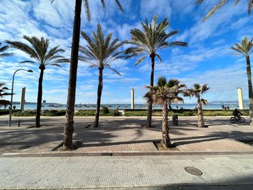 Piso con balcón en venta en Platja de Palma