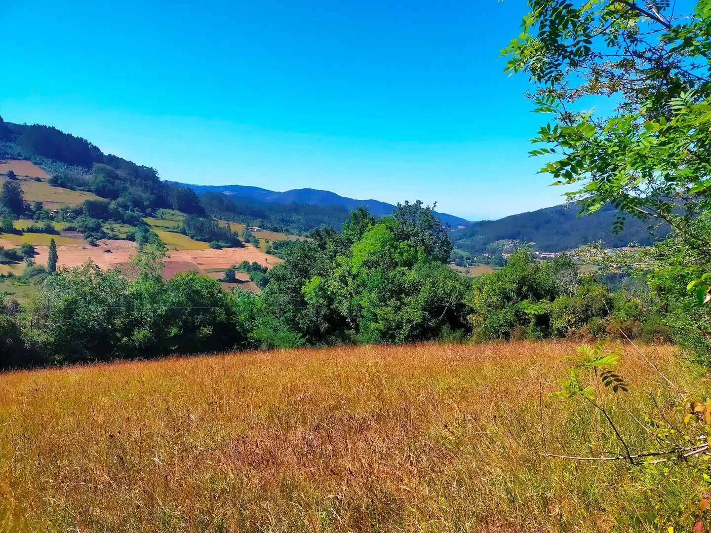 Terrenys i solars en venda a Candamo, imagen 4
