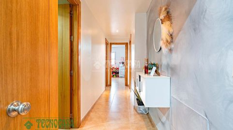 Foto 3 de Piso en venta en Las Norias, El Ejido