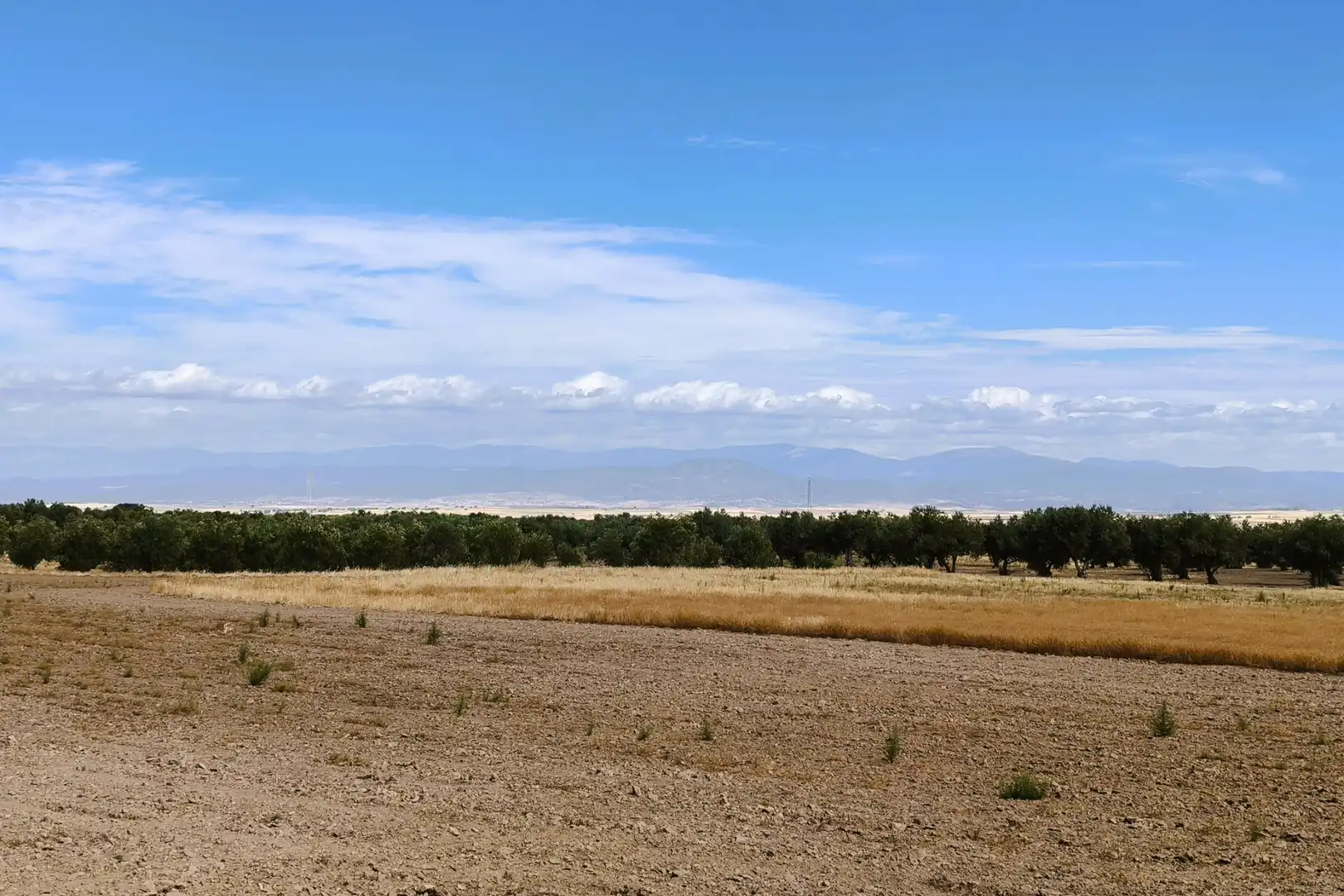 Rural land for sale in Santo Domingo-Caudilla, imagen 5