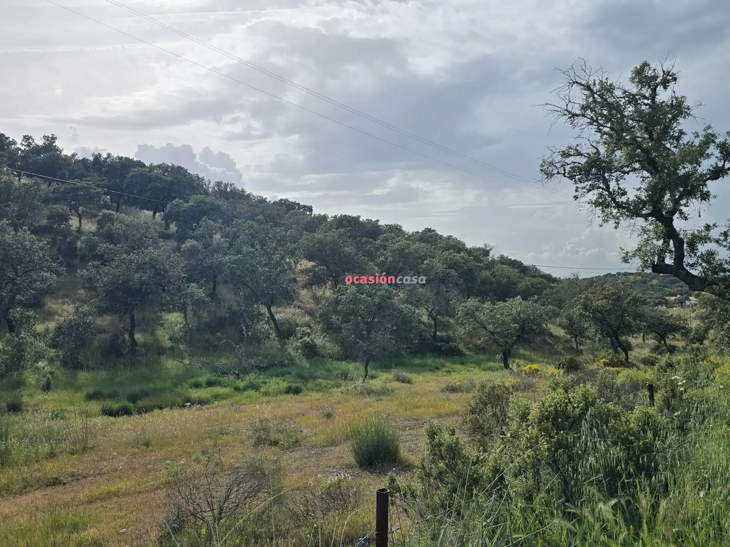 Casa o xalet en venda en Alcaracejos