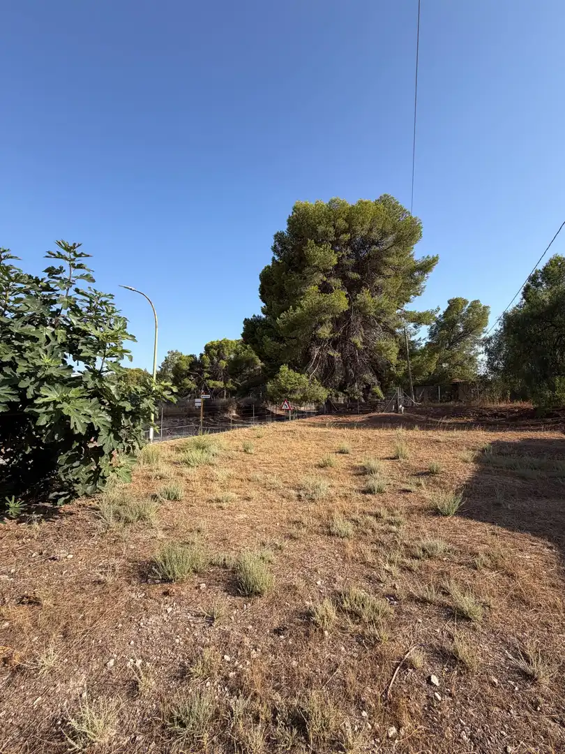 Casa amb jardí en venda a Monóvar  / Monòver, imagen 23