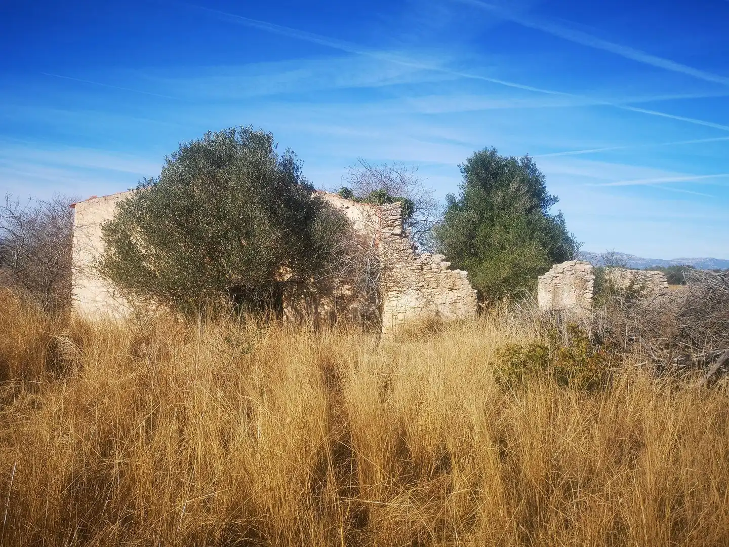 Terreno rustico in vendita a Traiguera, imagen 3