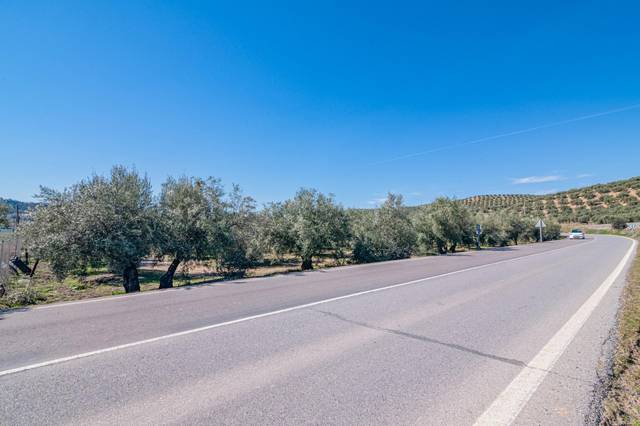 Terreno en Venta en Deifontes