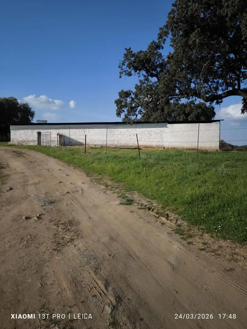 Vista exterior de Residencial en venda en Fuente Obejuna