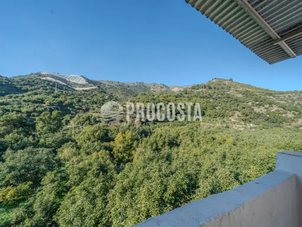 Vista exterior de Casa o chalet en venta en Jete con Terraza y Amueblado