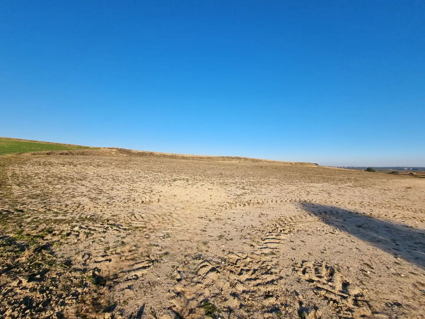 Rural land for sale in El Álamo, imagen 3