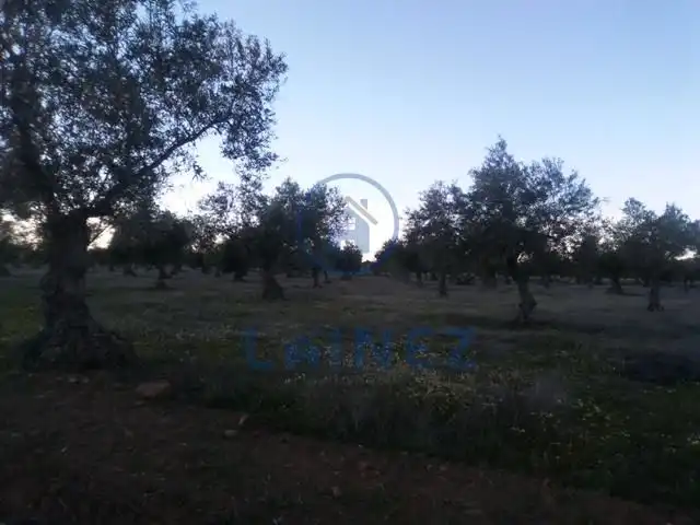 Terreni e lotti in vendita a Valsequillo, imagen 3