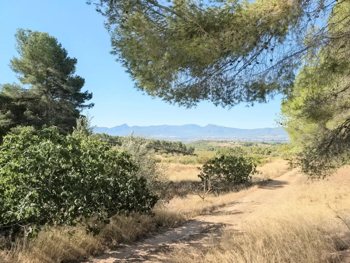 Maison rustique à vendre à Ibi, imagen 56