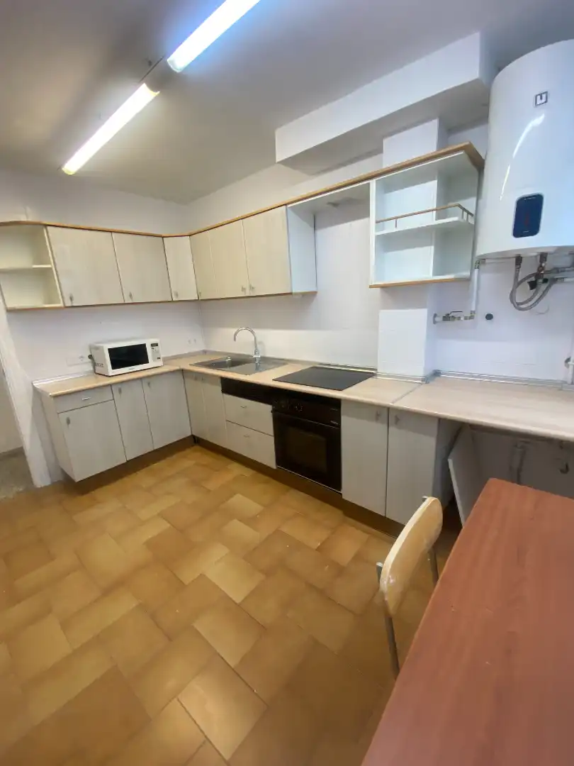 Kitchen of Flat for rent in Málaga  with Terrace, Furnished and Oven