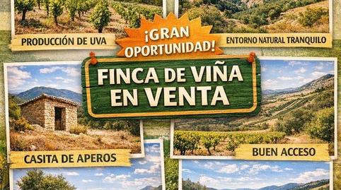 Foto 3 de Terreno en venta en  Polígono 6 Parcela 151 Umbria Martina. Frailes (j, Frailes, Jaén