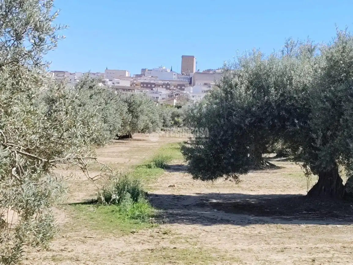 Rural land for sale in Mengíbar, imagen 5