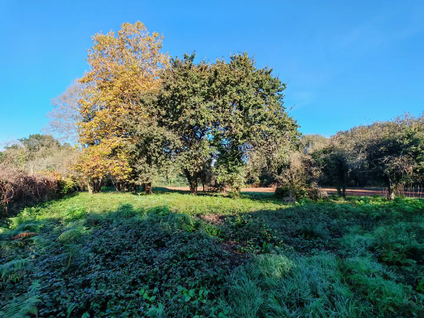 Residential for sale in Sada (A Coruña)