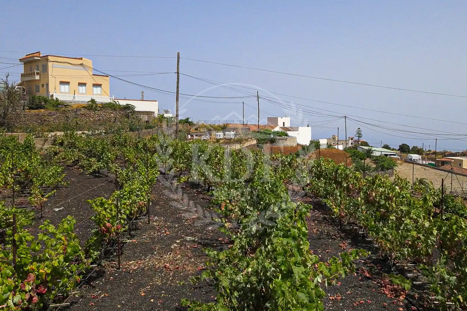 Finca rústica en venda a Calle el Barbecho, Vilaflor de Chasna
