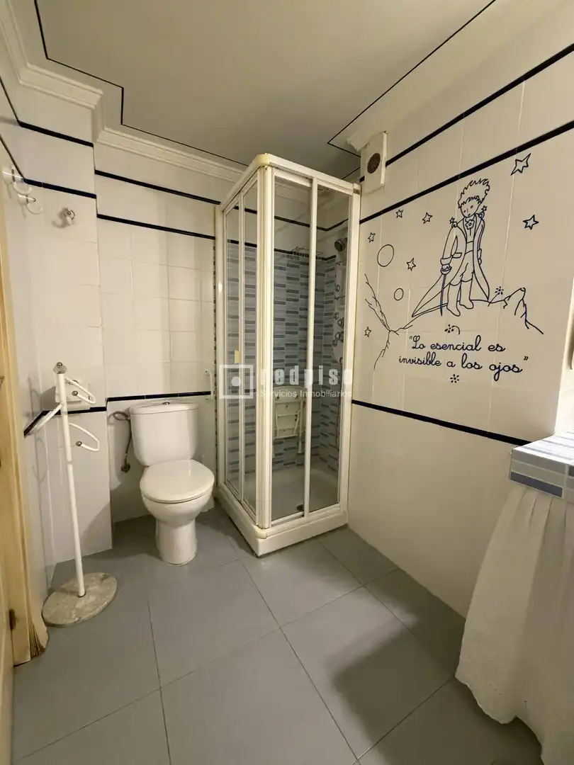 Flat with lift to rent in Carretera de Cádiz, imagen 17