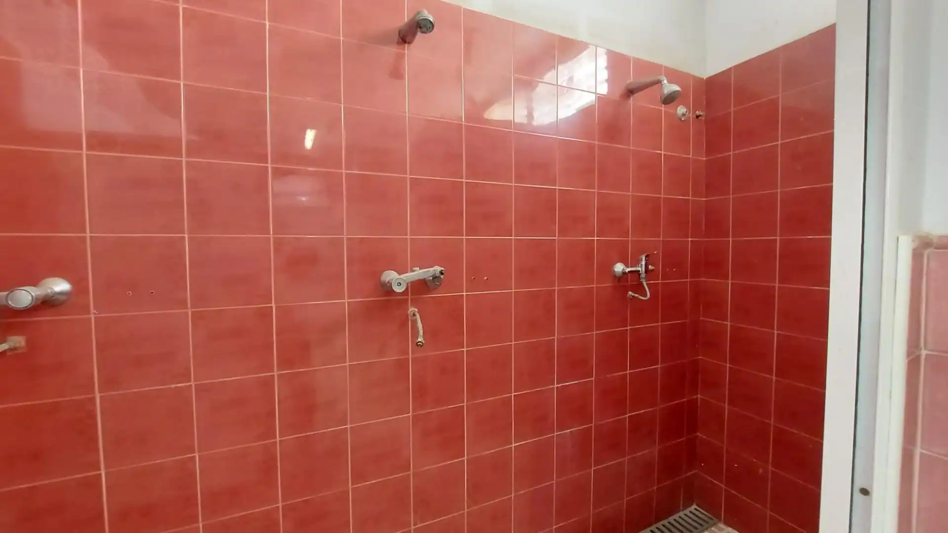 Gewerbefläche zur Miete in El Ejido Ciudad, imagen 18
