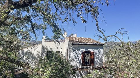 Photo 4 of Country homes for sale in Comares, Málaga