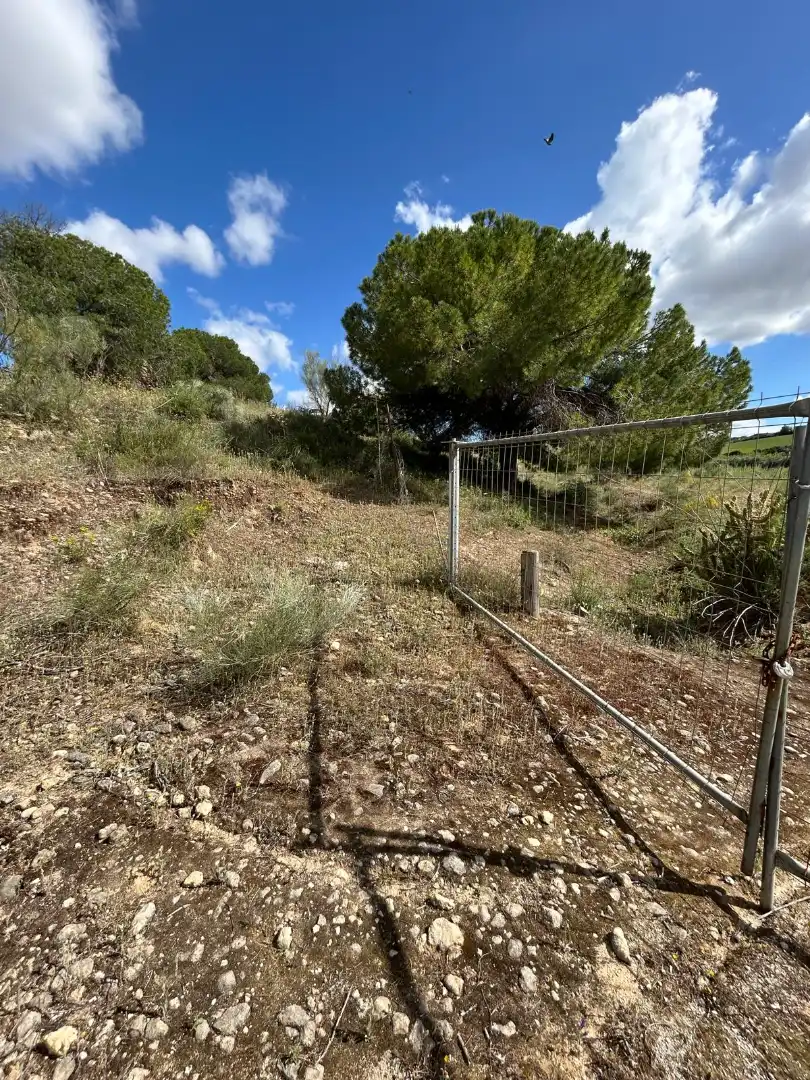 Terrain rustique à vendre à Arcos de la Frontera, imagen 15