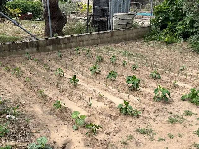 Terreni e lotti in vendita a Zafra, imagen 14