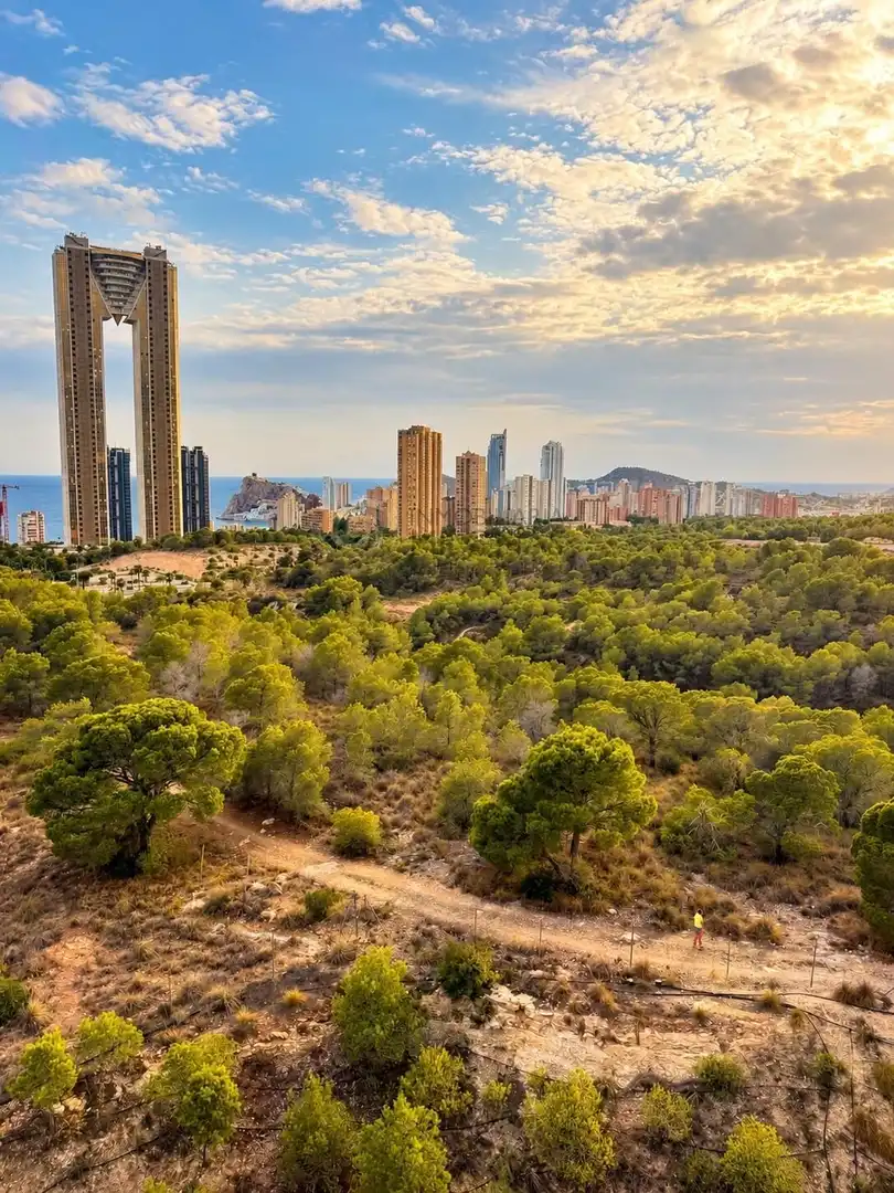 Wohnungen zur Miete in Benidorm, Alicante