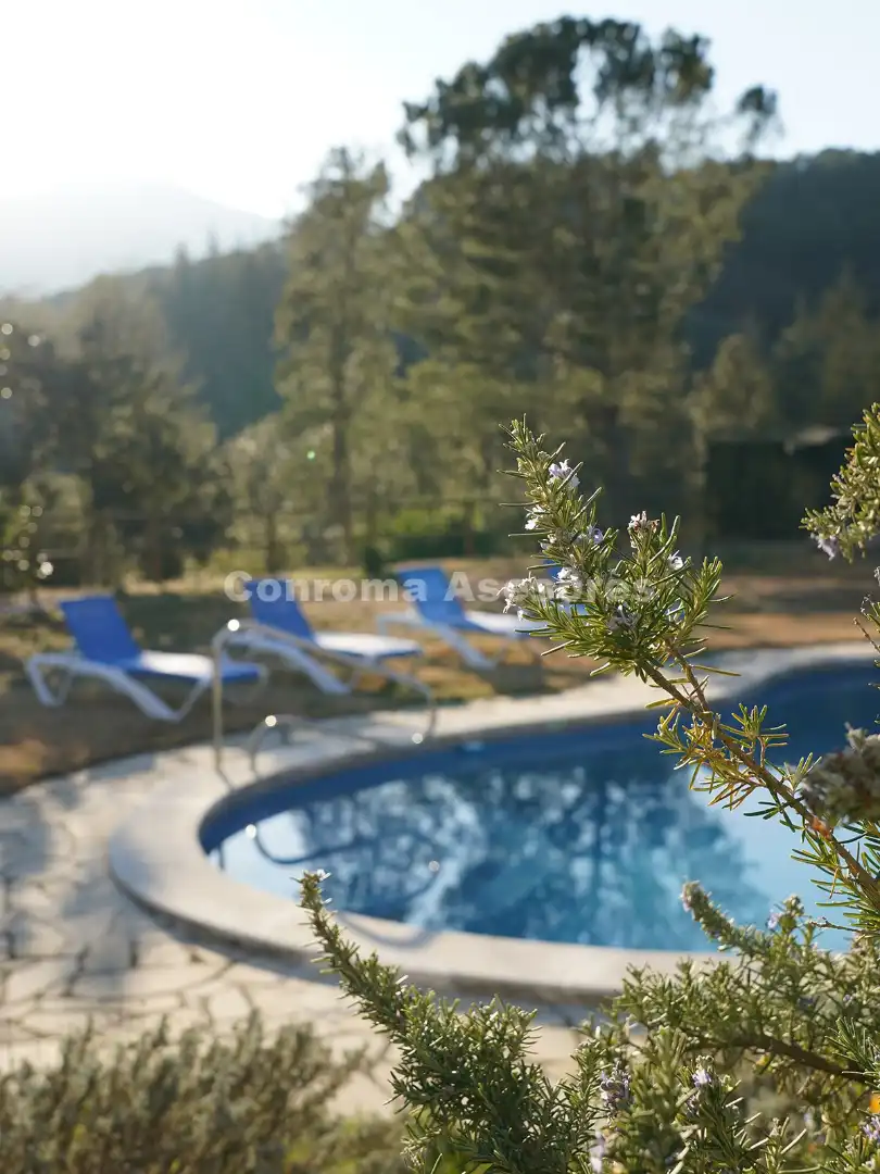Piscina de Casa o xalet en venda en Arbúcies amb Aire condicionat, Calefacció i Jardí privat