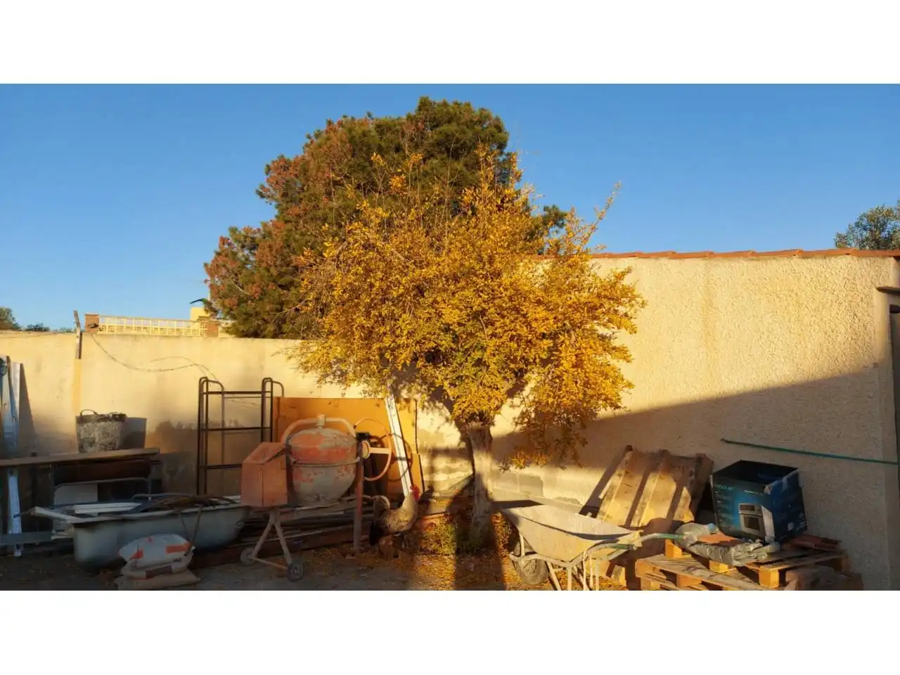 Jardí de Casa o xalet en venda en Elche / Elx amb Calefacció, Jardí privat i Piscina