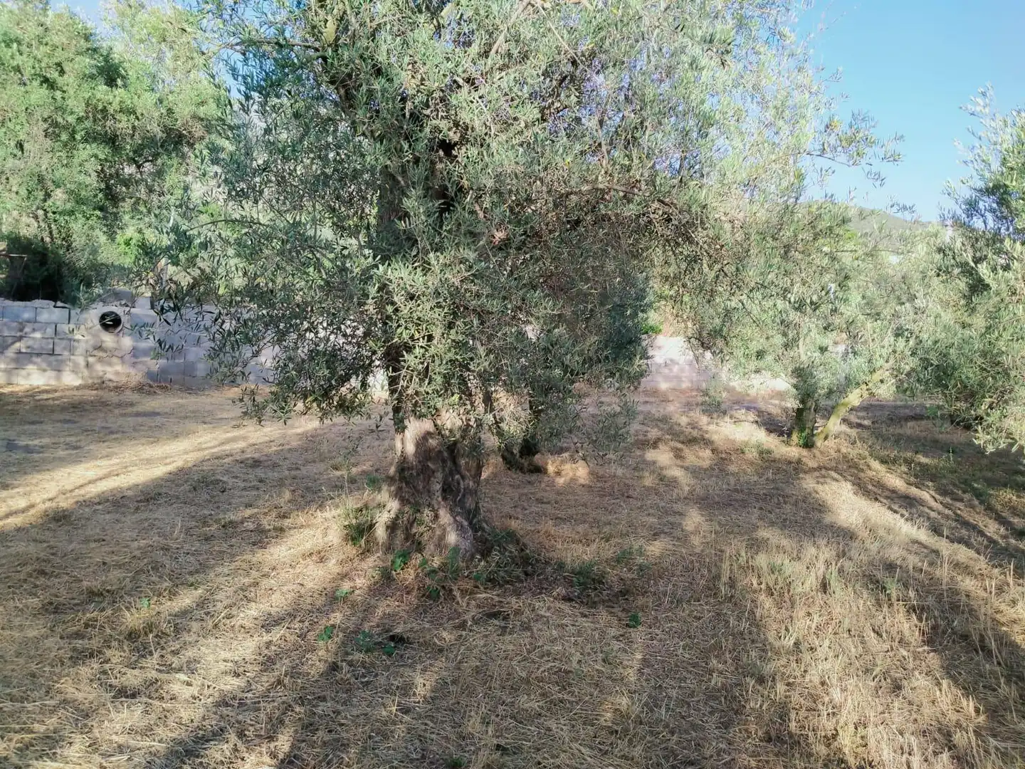 Residencial en venda a Nigüelas