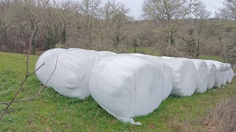 Foto 5 de Finca rústica en venda a Avenida Madrid, Becerreá, Lugo