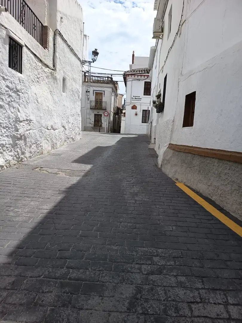 Casa rústica en venta en Canillas de Aceituno, imagen 8