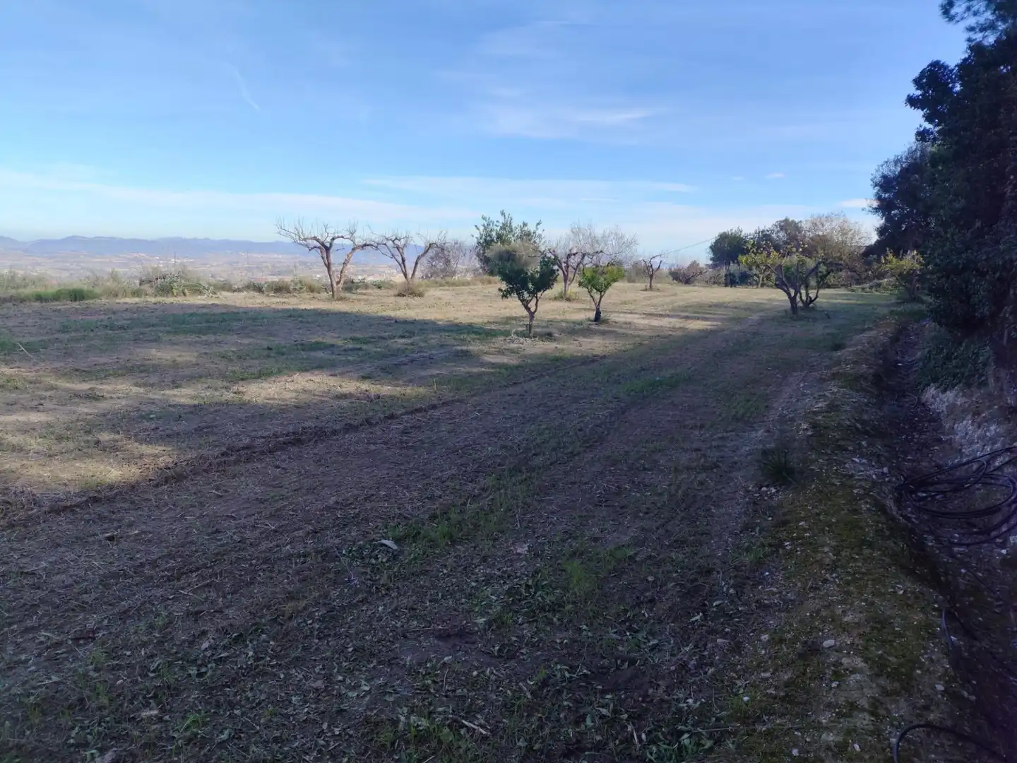 Terreno residenziale in vendita a Agullent, imagen 10