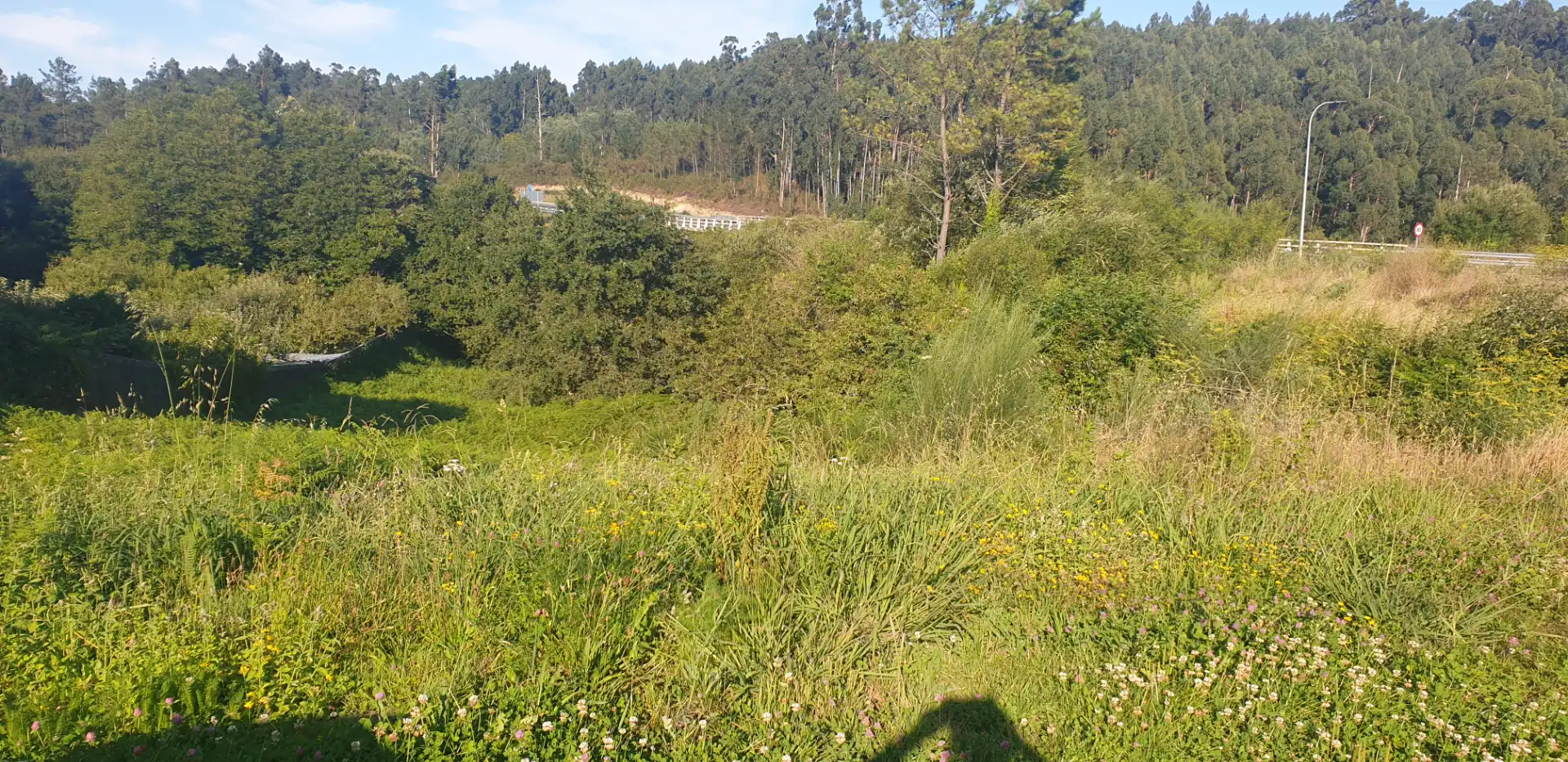 Terreno residenziale in vendita a Rúa da Ponte do Romaño, imagen 4