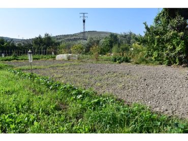 Terreno rustico in vendita a Baena
