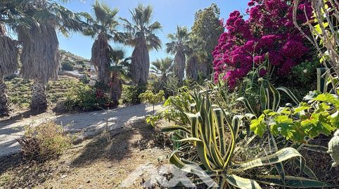 Foto 3 de Casa o xalet en venda a Poligono 32 Parcela, Camino Viejo de Málaga, Vélez-Málaga