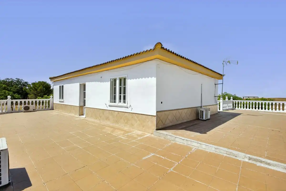 Vista exterior de Casa o xalet en venda en Carmona amb Aire condicionat, Calefacció i Jardí privat