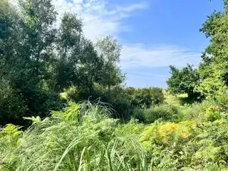 Lands and plots for sale in Santa María de Getxo, imagen 13