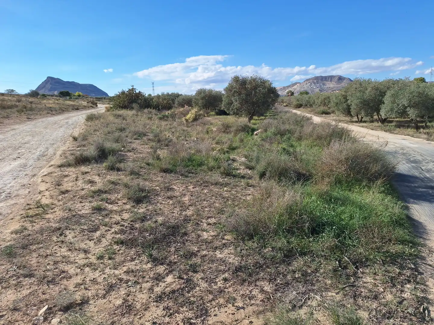 Finca rústica en venta en Alicante / Alacant con Trastero