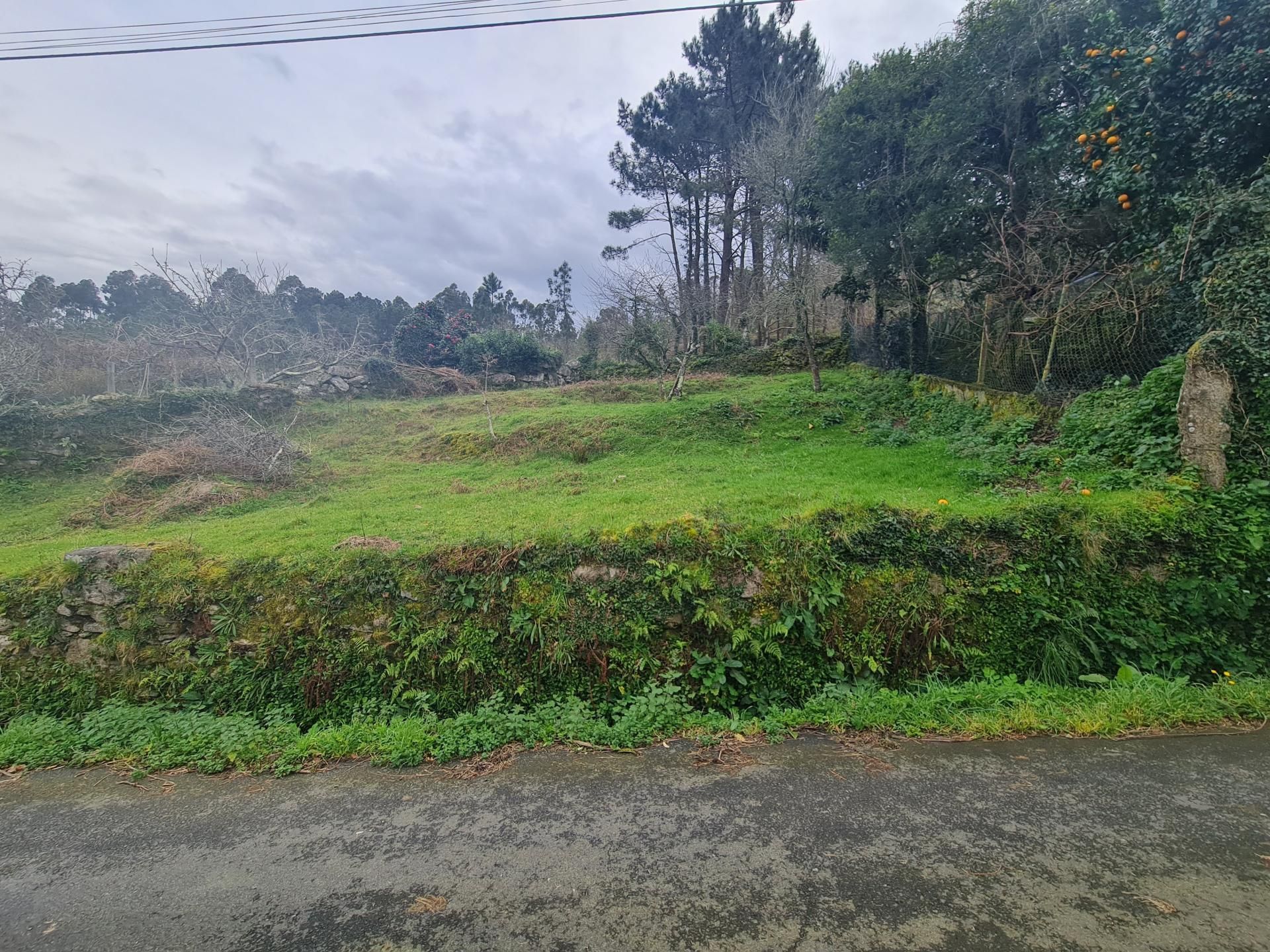 Residential for sale in Porto do Son