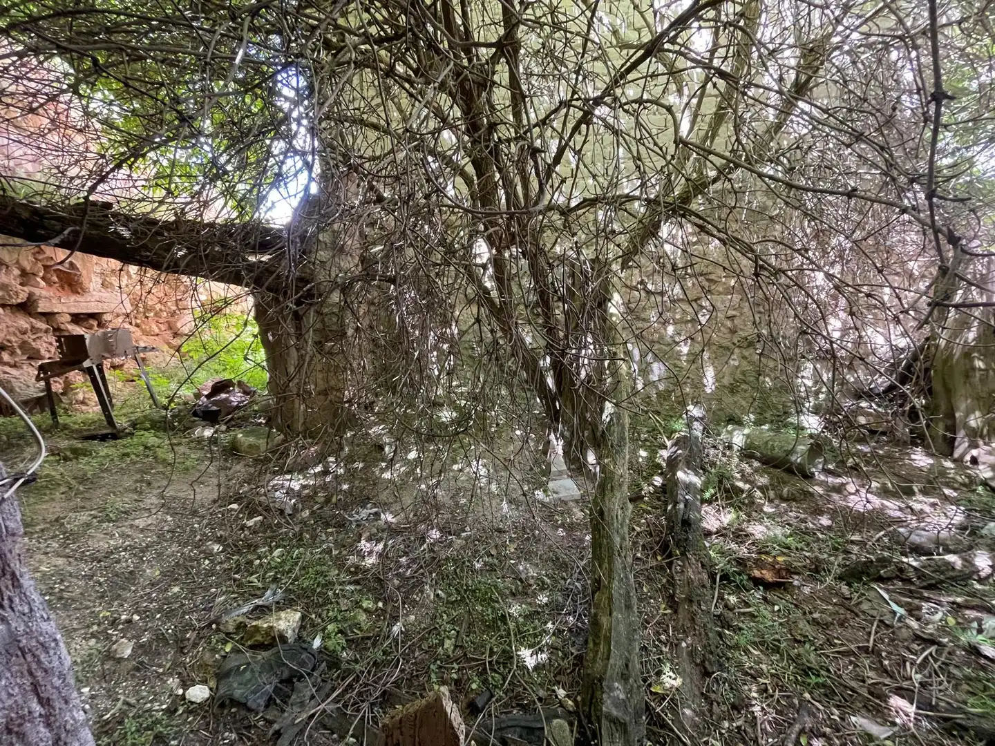 Finca rústica en venda en Espinosa de Cerrato amb Jardí privat