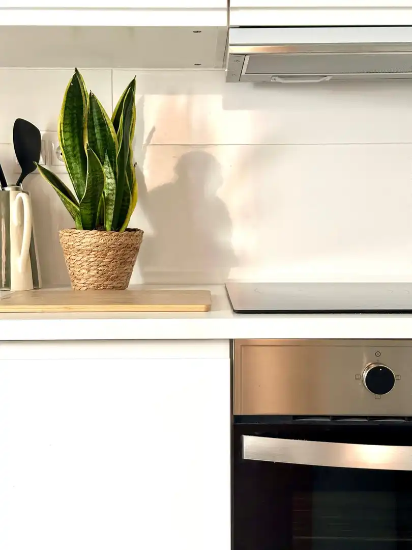Kitchen of Study for sale in Barcelona  with Heating, Furnished and Microwave