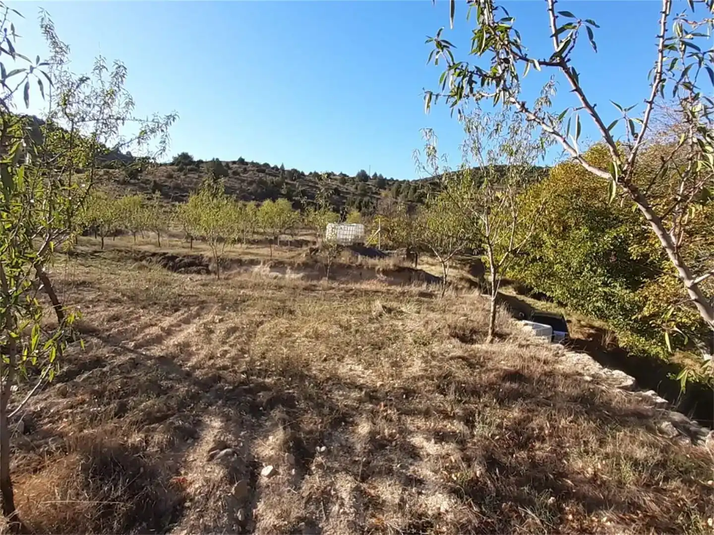 Terreno en venta en Algar de Mesa, Guadalajara