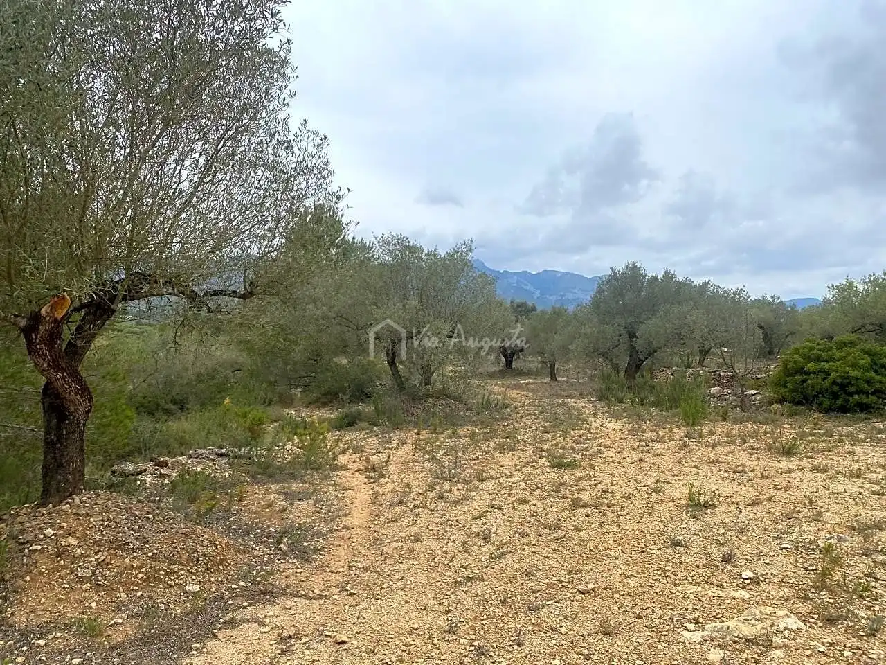 Terreno rustico in vendita a Burga, imagen 2