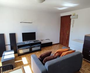 Living room of Flat to rent in  Madrid Capital