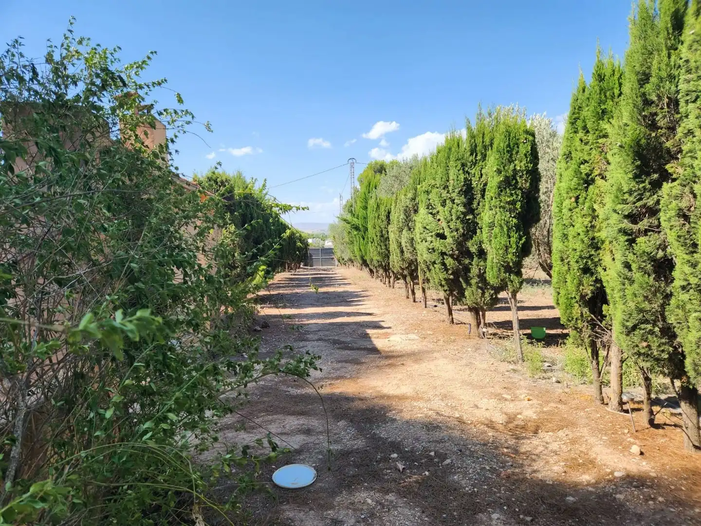 Chalet en venta en Las Virtudes, imagen 40