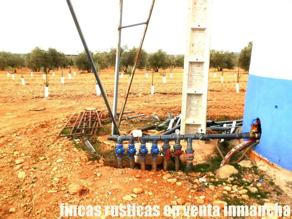 Rural land for sale in Valdepeñas, imagen 10