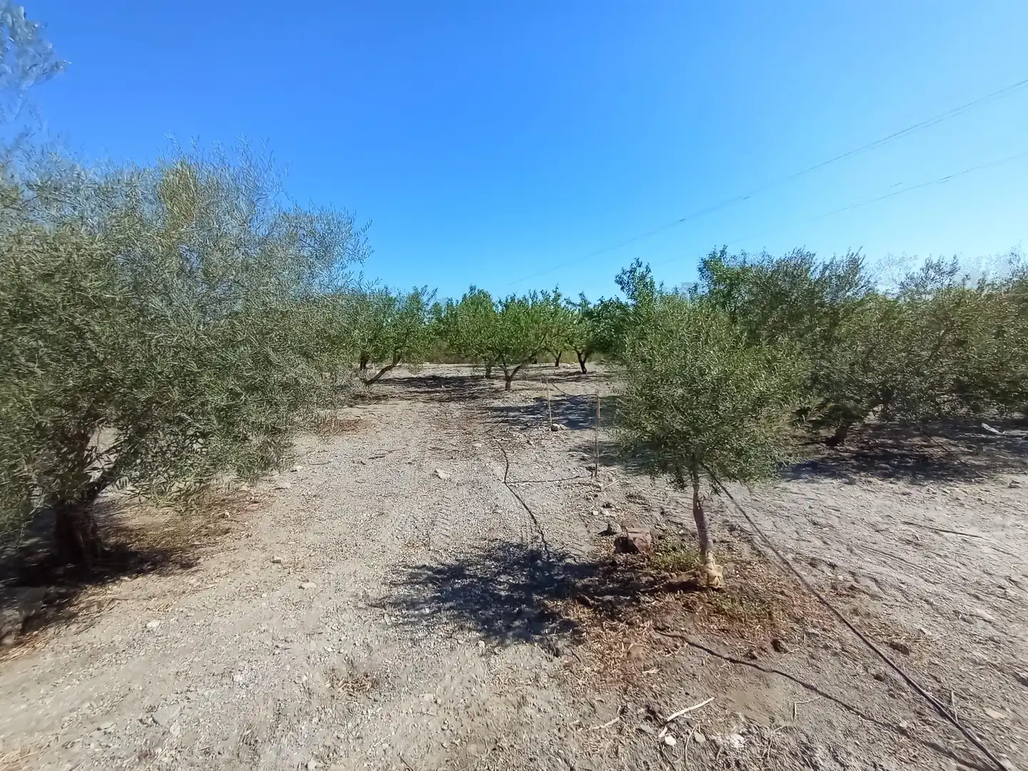 Terreni e lotti in vendita a Pedanías Sur, imagen 18