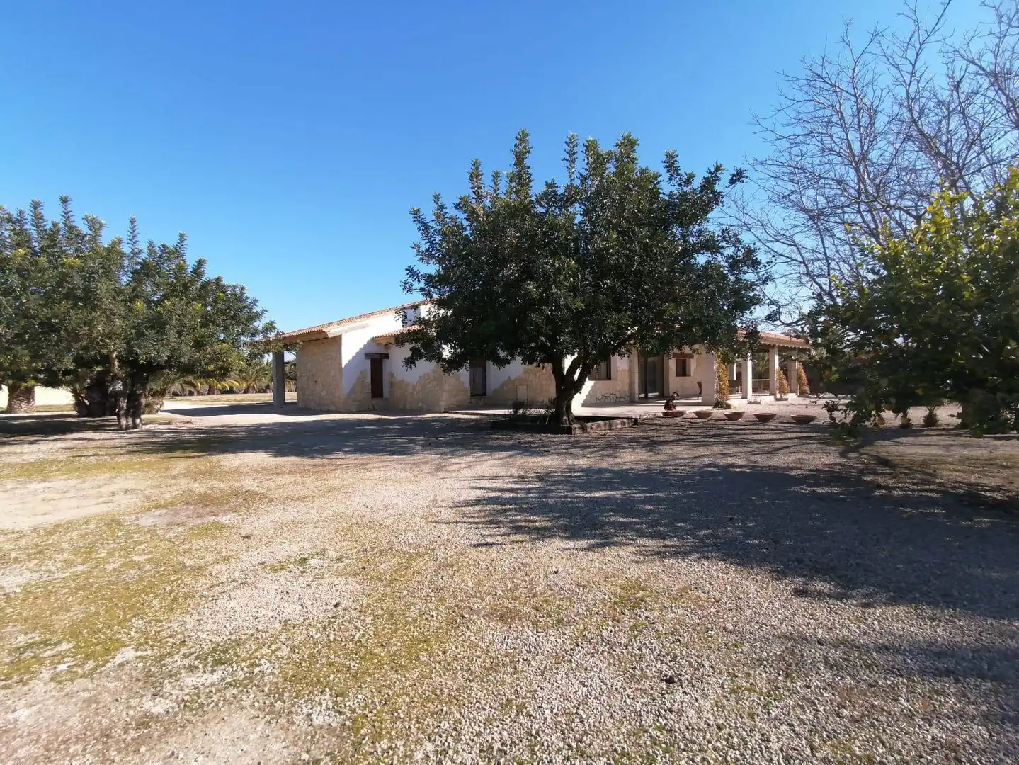 Vista exterior de Casa o chalet en venta en El Palomar con Aire acondicionado, Calefacción y Jardín privado