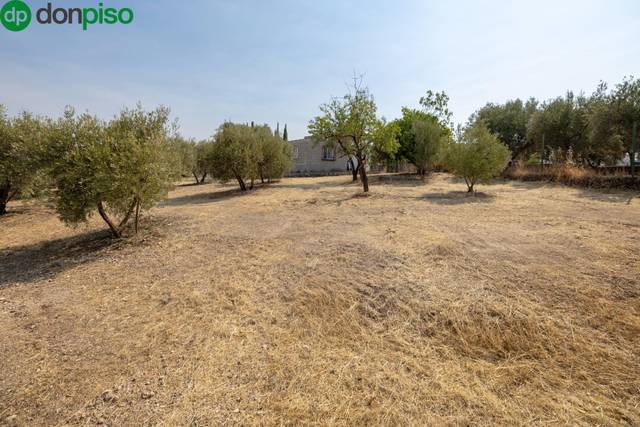 Finca rústica en Venta en Calle de Moraleda a Cómpeta en Moraleda de Zafayona